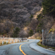 Illustration for article titled Japans Venus Line Is The Next Great Driving Road You Should Experience